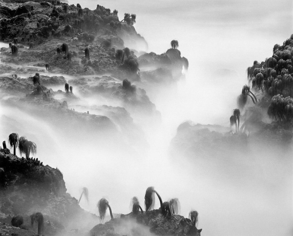 Работы американского фотографа Wynn Bullock (1902-1975).

Больше..4