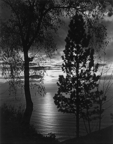 Работы американского фотографа Wynn Bullock (1902-1975).

Больше..8