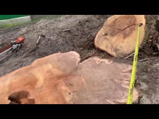Рассекреченные операции Холодной Войны - Двойники и..0