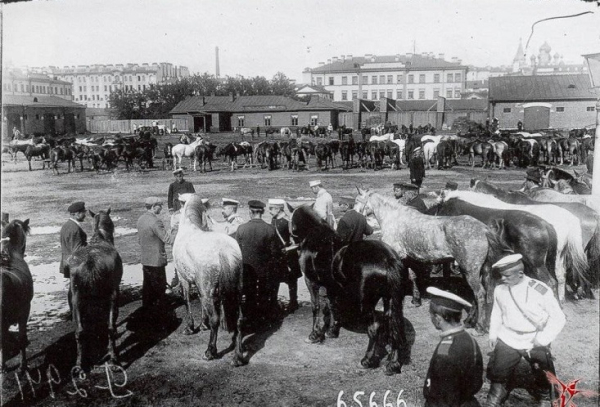 Зачем нужно было бедное содержание офицерства в царское время -..0