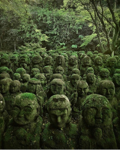 Заросшие мхом японские статуи.

..0