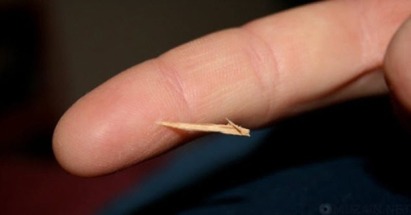 10 примечательных фактов о туалетной бумаге.

Нет ничего..1