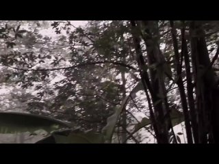 Что, если бы вы стали солдатом во Вьетнаме на один..0