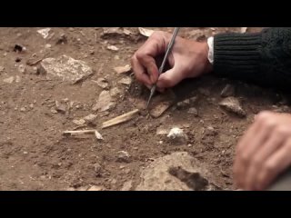 Мифы истории, в которые многие..0