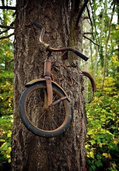 Парень оставил свой велосипед прикованным к дереву когда уходил..0