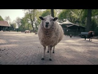 Сравнение зарплат различных эпох. Сколько получали в Древнем..0