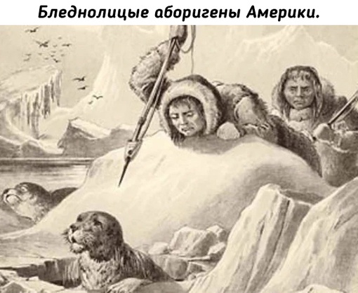 До сих считалось, что злые европейцы приплыли в Америку и..0