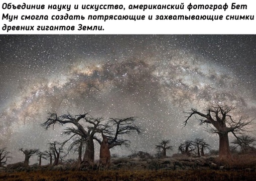 Древние гиганты Земли на снимках фотографа Бет..9