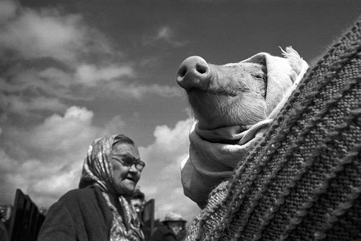Казань и казанцы в 90-е на фотографиях Евгения Канаева.

Больше..1