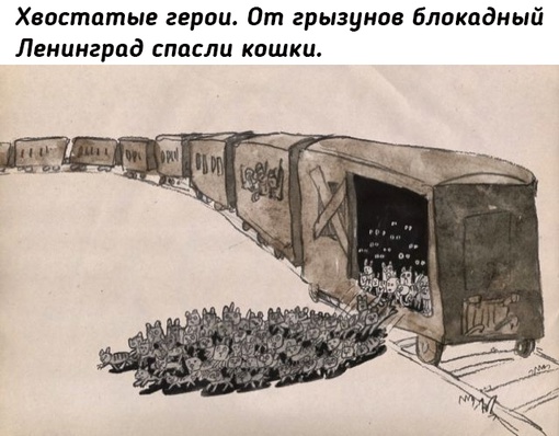 Победой над мышами и крысами после прорыва блокады в 1943 году..0