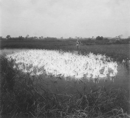 Шанхай, 1930-е.
Фотограф: Луи-Филипп Мессельер.

Больше исторических..7