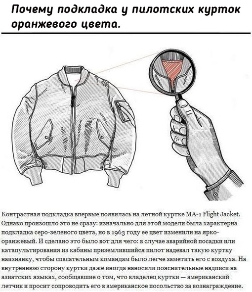 Для чего нужны некоторые детали на нашей..3