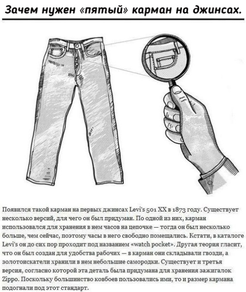 Для чего нужны некоторые детали на нашей..2