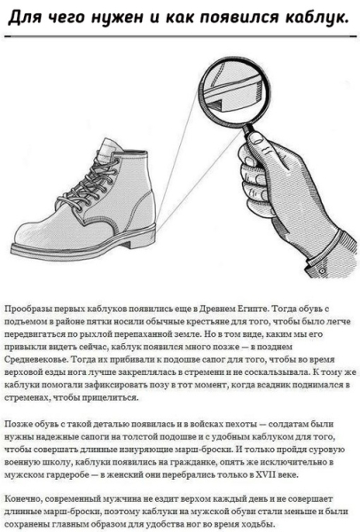 Для чего нужны некоторые детали на нашей..5