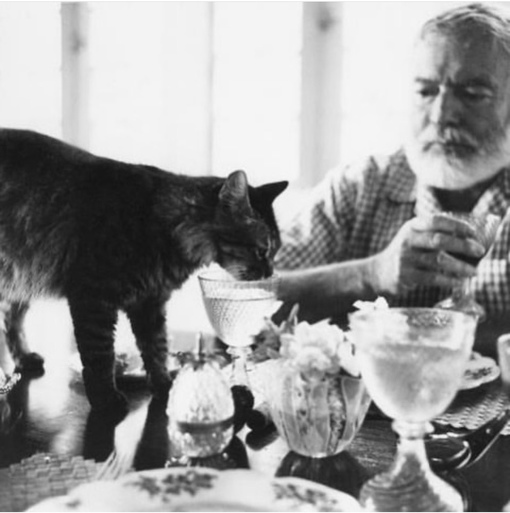 Эрнест Хемингуэй за столом с кошкой Кристобаль.
Больше..0
