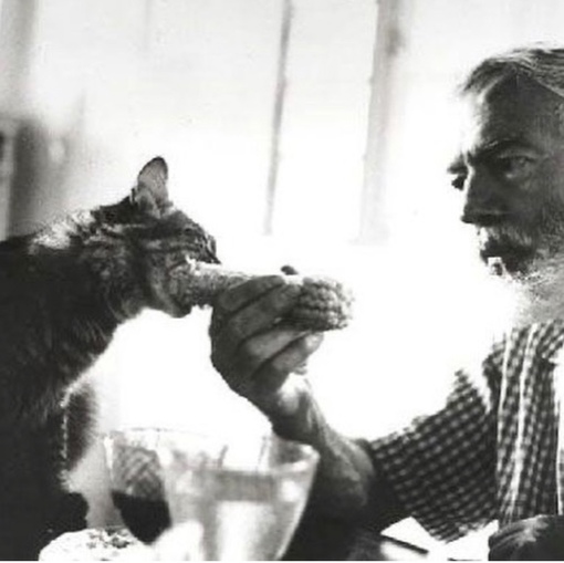 Эрнест Хемингуэй за столом с кошкой Кристобаль.
Больше..2