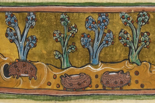 Иллюстрации из Рочестерского бестиария, XIII век
Больше..5
