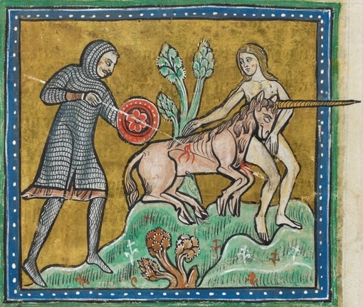 Иллюстрации из Рочестерского бестиария, XIII век
Больше..7