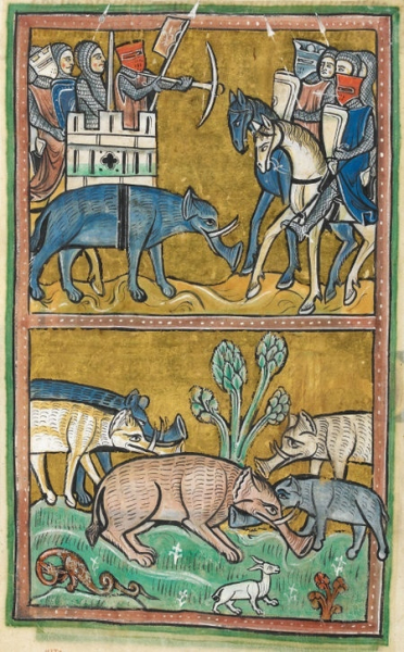 Иллюстрации из Рочестерского бестиария, XIII век
Больше..0
