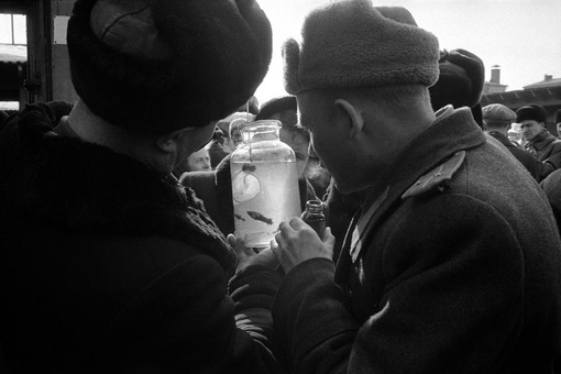 Москва 1958 года на фотографиях Эриха Лессинга.
Больше..1