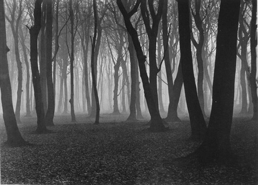 Работы немецкого фотографа Albert Renger-Patzsch (1897-1966).
Больше..7