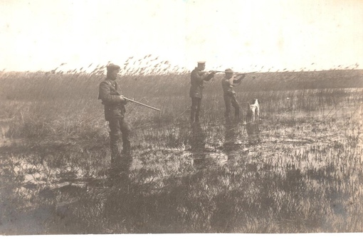 Русская охота, 1909-1915 гг.
..6