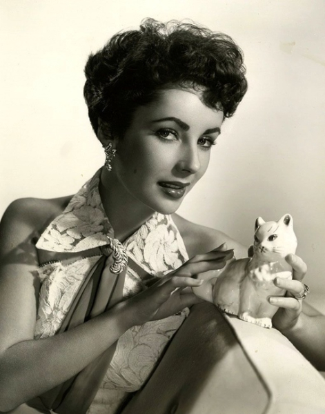 The special edition: Elizabeth Taylor
..4