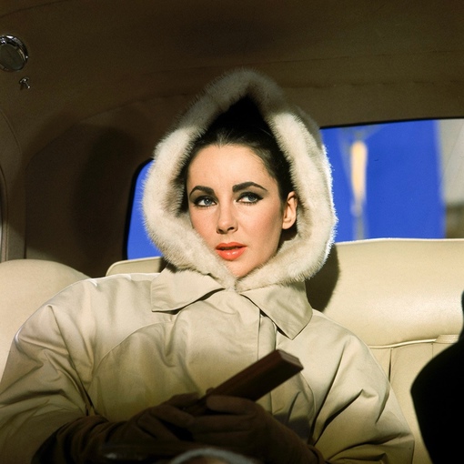 The special edition: Elizabeth Taylor
..2