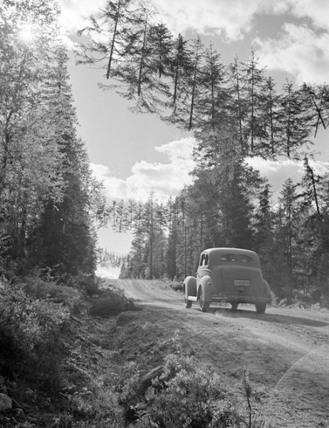 Закамуфлированная дорога, Финляндия, Вторая мировая.
Больше..0