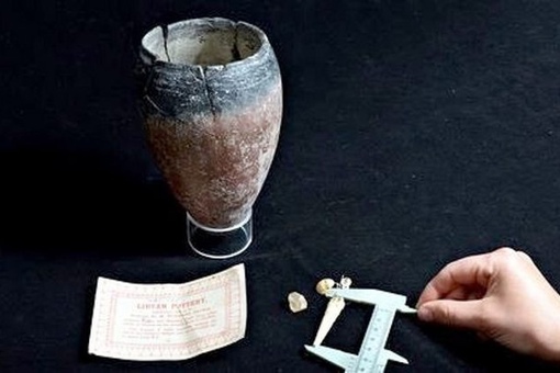 10 древних исторических артефактов, которые случайно нашли у себя..5