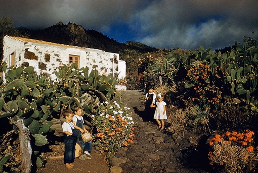 Дети играют босиком в кактусовом саду на Канарских островах, 1955..0