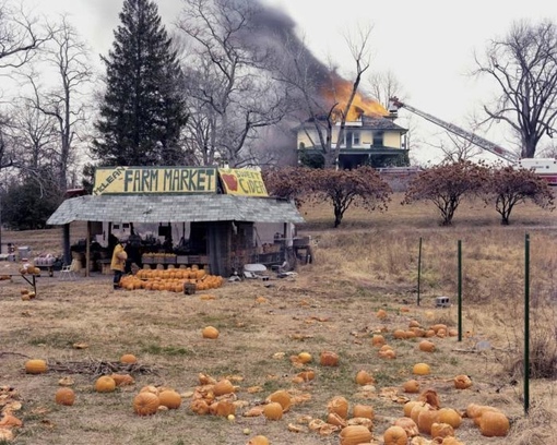 Джоэль Стернфельд, Маклин, Вирджиния, США, декабрь 1978 года.

На..0