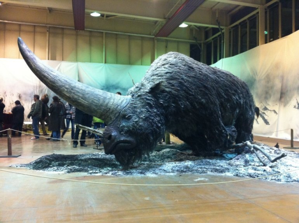 Эласмотерий (лат. Elasmotherium, что означает Зверь с пластинами) — род..0