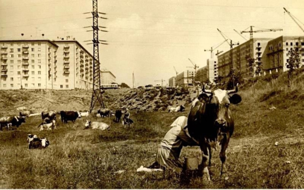 Москва, Черемушки, 1954 год.
..0