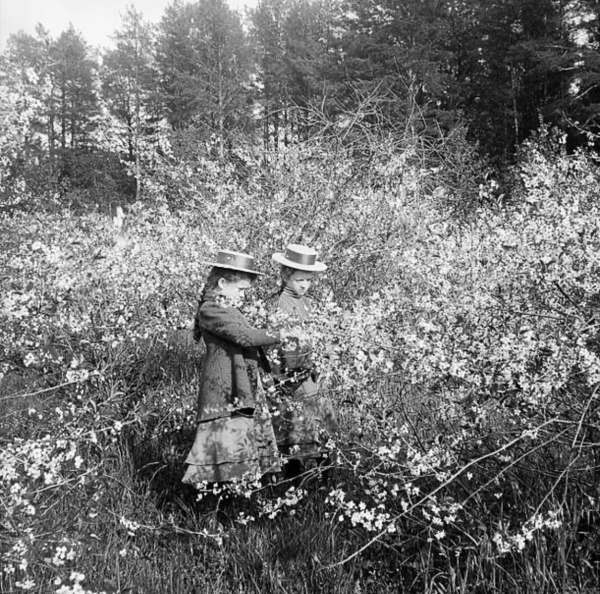 Российская империя в фотографиях Сэмюэля Хопвуда, 1900-е.
Больше..9