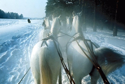 СССР, 1965 год.
Фотограф: Inge Morath.
..0