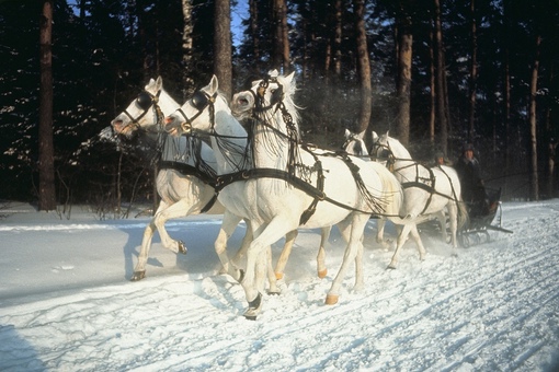 СССР, 1965 год.
Фотограф: Inge Morath.
..1