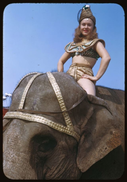 Артисты американского цирка братьев Ринглинг, Барнума и Бейли,..0