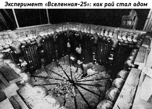 Для популяции мышей в рамках социального эксперимента создали..0