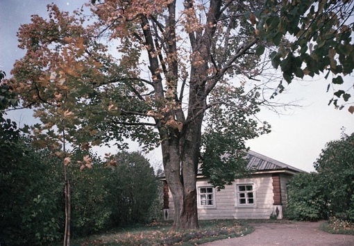 Домик няни А. С. Пушкина в Михайловском, 1954 год.
Больше..0