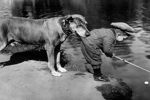 Игрок в гольф и его кедди, 1920-е годы.

Кедди — помощник игрока в..0