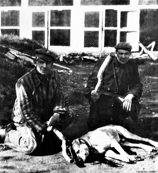 Освобождённые заключённые концлагеря Дахау забили палками..0