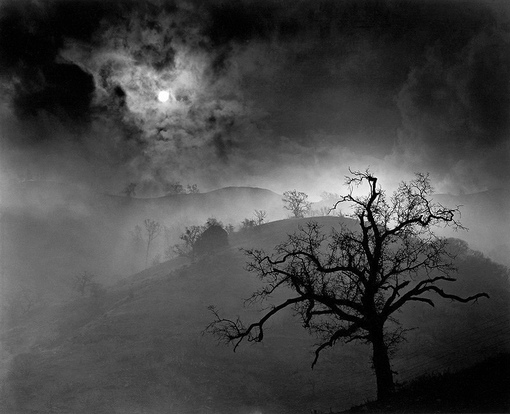 Работы американского фотографа Wynn Bullock (1902-1975).
Больше..3