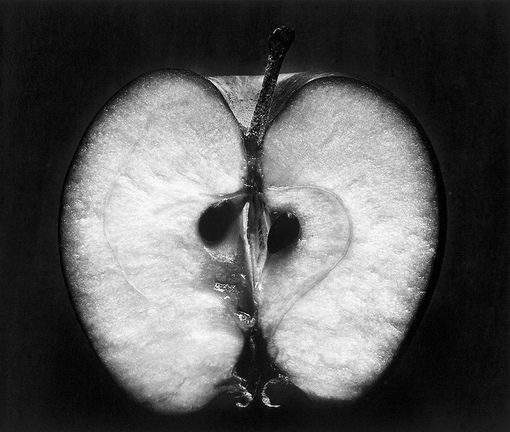 Работы американского фотографа Wynn Bullock (1902-1975).
Больше..6