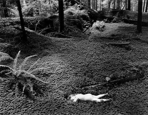 Работы американского фотографа Wynn Bullock (1902-1975).
Больше..1