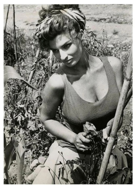 Сцилла Габель, итальянская актриса и двойник Софи Лорен, 1957..0