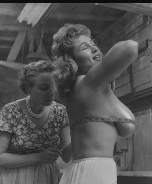 Снятие мерки . США , 1950-ые .
..0