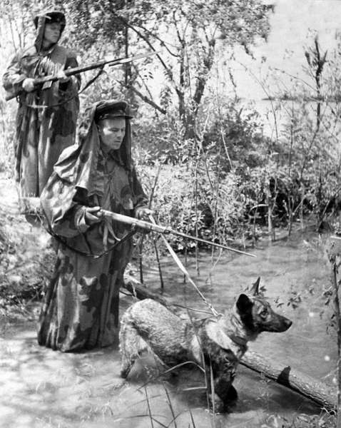 Советские пограничники в дозоре на берегу Дуная, 20 июня 1941 года...0