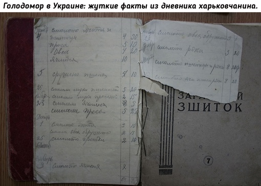 В дневнике харьковского крестьянина Нестора Белоуса переданы..0