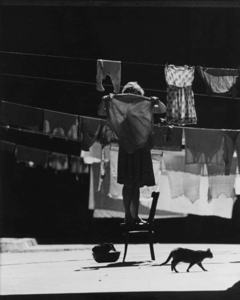 Вильнюс, 1958. Фотограф Антанас Суткус
..0